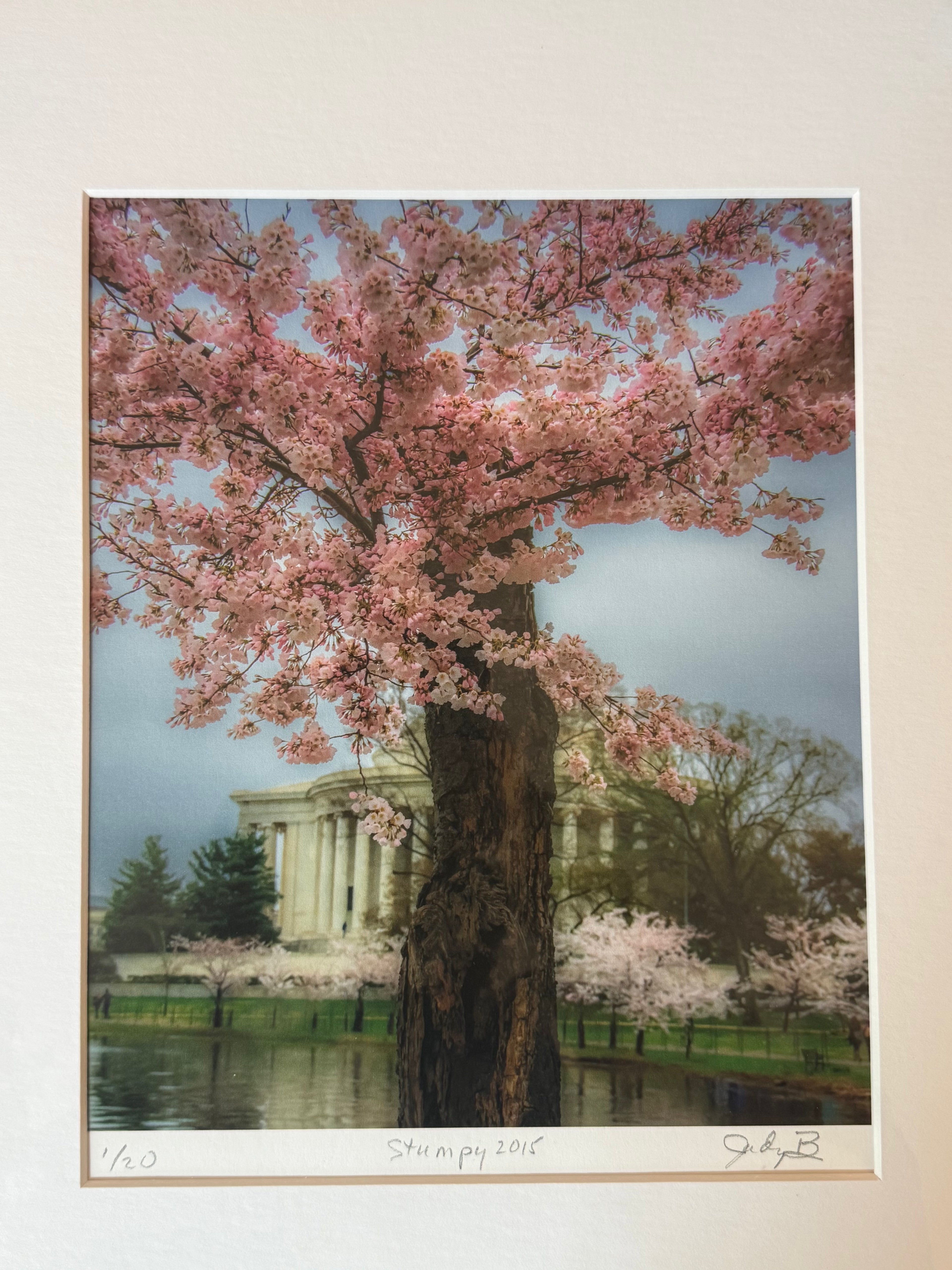 Stumpy (Print) by Judy Bonderman