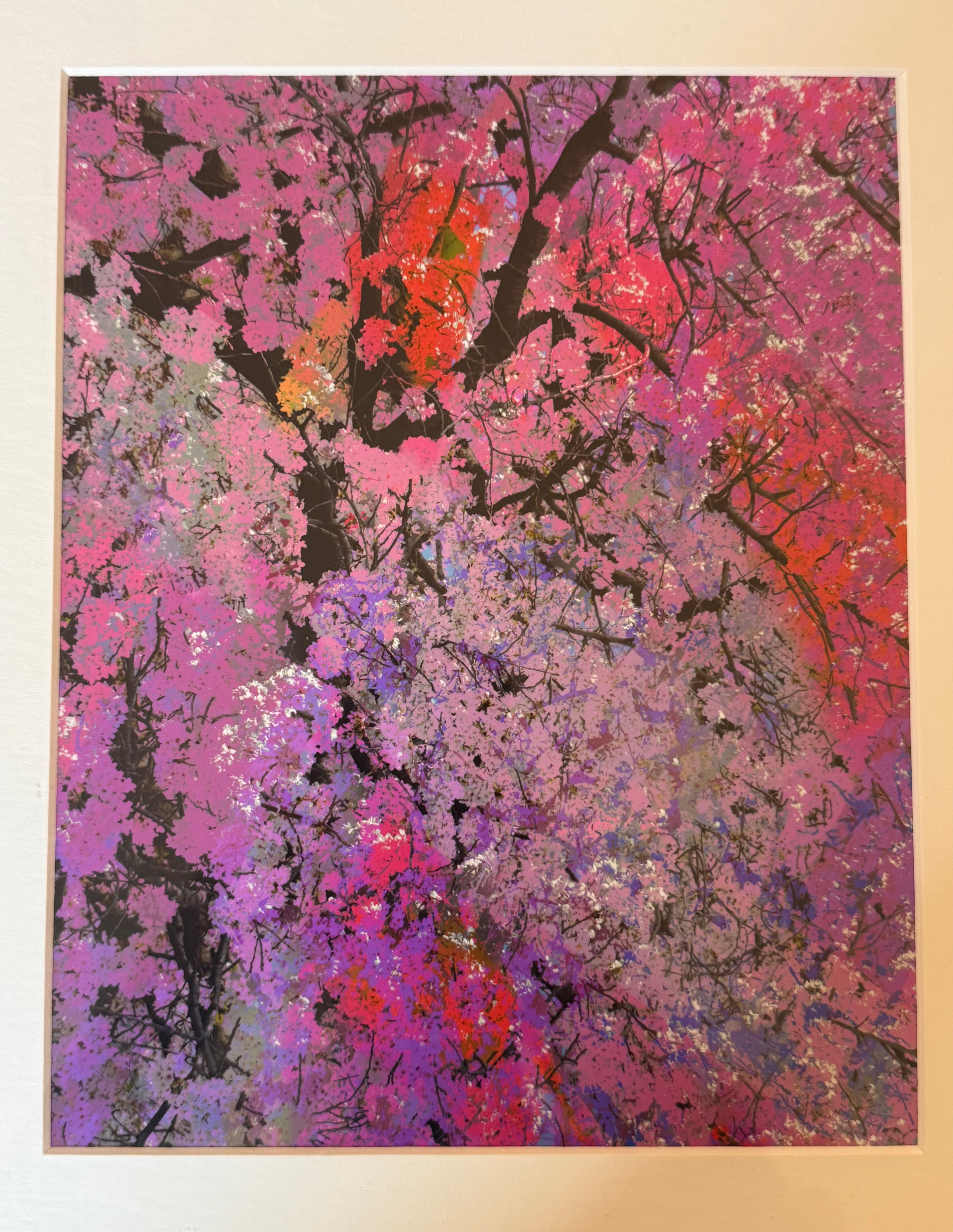 Abundance (print) by Judy Bonderman