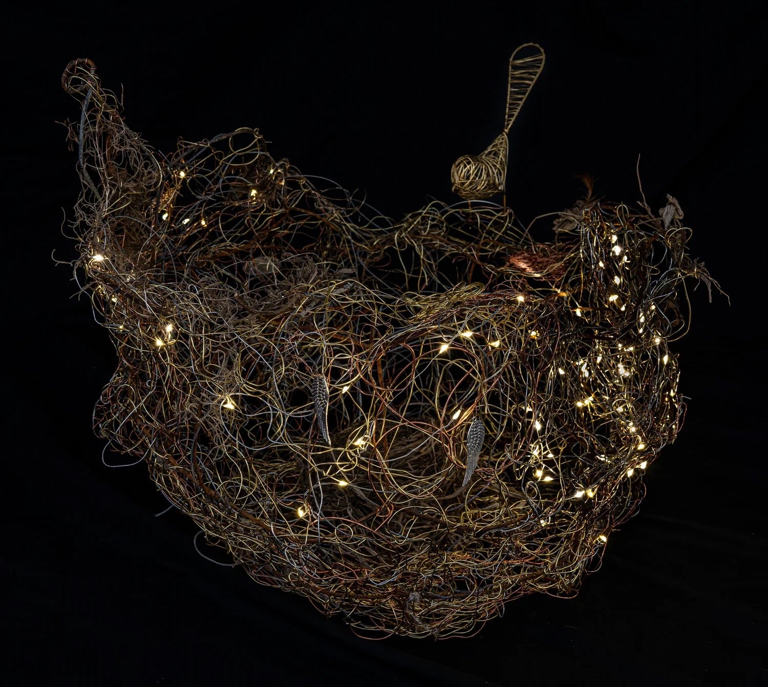 The Rebirth of an Empty Bird’s Nest by Leslie Harris