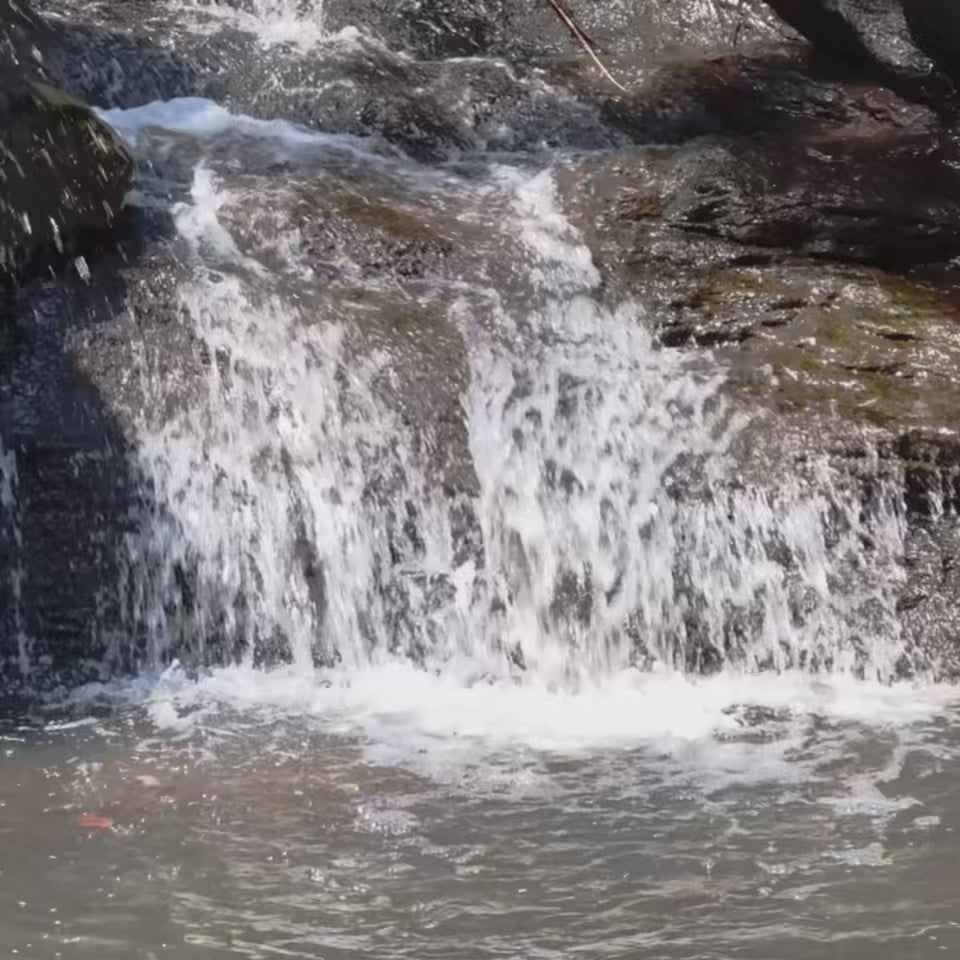 Estuary (Video) by Faraz Ghorbanpour